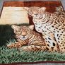 Large Lion King Bed Throw Image 3