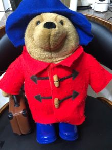 paddington bear