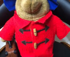 paddington bear