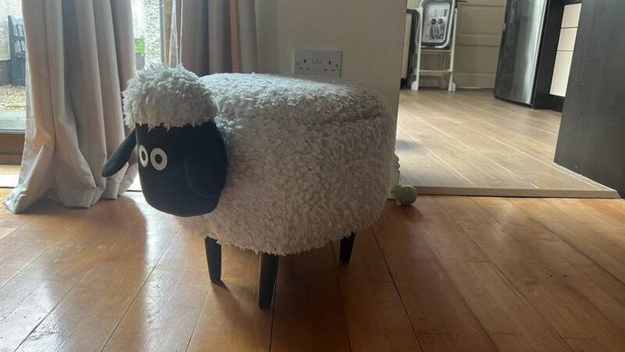 Sheep footstool