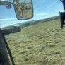 Haylage Image 2