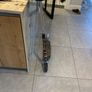 Micro Scooter Image 3