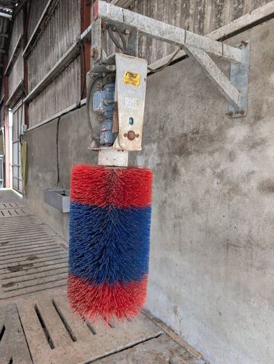 Automatic cow brush