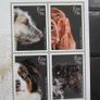 Irish Dogs 2016.Miniature Sheet.MNH. Image 2
