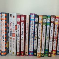 Diary of a wimpy kid 20 book bundle