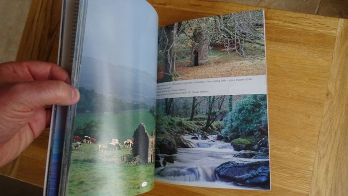Landscapes of Ireland by Michael Diggin.