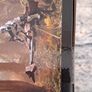 Star wars boxed speeder bike and scout Trooper Image 4