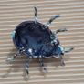 BROOCH - Large Bug - Beetle Image 3