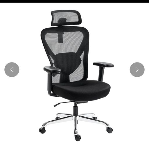 Hinomi Q1 Ergonomic Office Chair