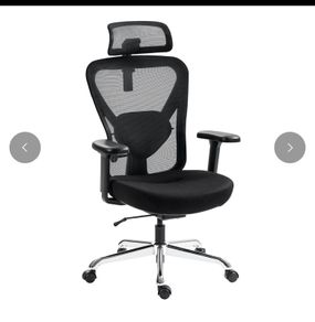 Hinomi Q1 Ergonomic Office Chair