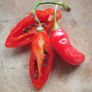 Chili Pepper 'Aji Largo' Irish Seed Image 5