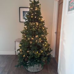 Christmas Tree 6 ft 6