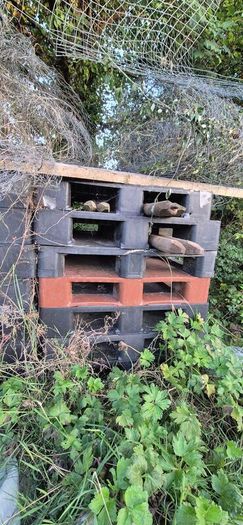 Plastic Pallets