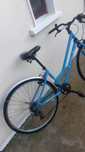 Dutch style bike