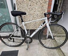 giant racer bike