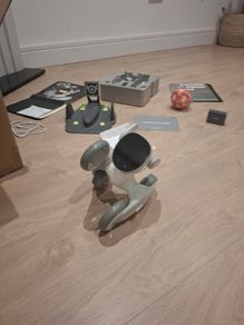 Loona petbot