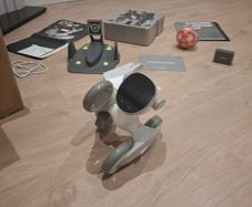 Loona petbot