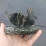 Connemara marble duck Image 8