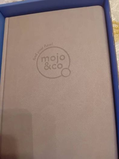Mojo diary