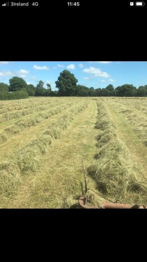 Small square bales of hay