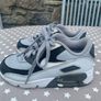 Grey Nike Air Max Image 3