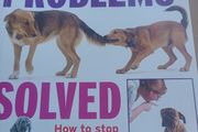 Doggy Problems Solved
