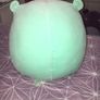 Squishmallow Image 3