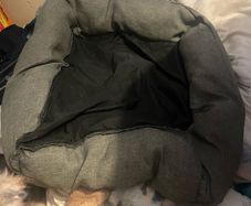 Dog Bed