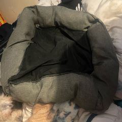 Dog Bed