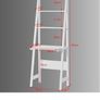 Shelving Ladder Image 3