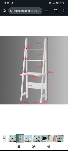Shelving Ladder
