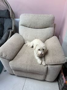 Recliner Armchair