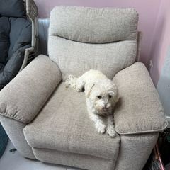 Recliner Armchair