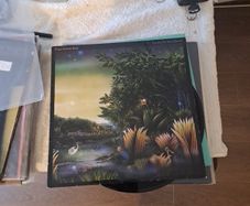vinyl Fleetwood Mac