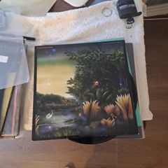 vinyl Fleetwood Mac