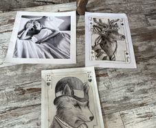 pictures