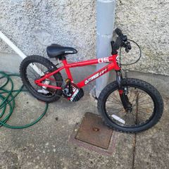20 inch kids