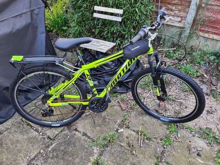 Mountain Bike (Fixer-Upper / Needs Service)