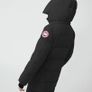 canada goose Image 5