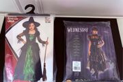 Girls Costumes Wicked and Wednesday