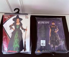 Girls Costumes Wicked and Wednesday