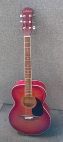Freshman Acoustic Guitar And Case