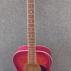 Freshman Acoustic Guitar And Case