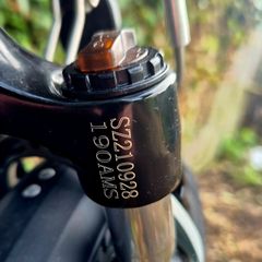 electric bikes