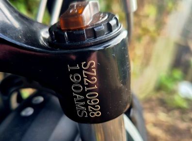 electric bikes
