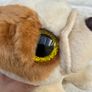 Ty Beanie approx. 8" Houghie the Bulldog Plush Used Please see photos Image 8