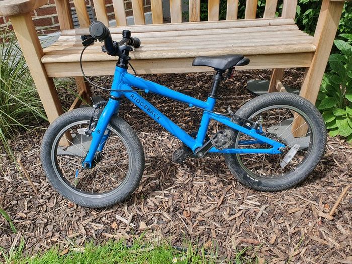 Ridgeback Dimension 16 (ideal kid's starter bike)