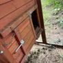chicken coup Image 3