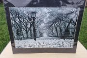 Large art photograph of Central Park in New York
