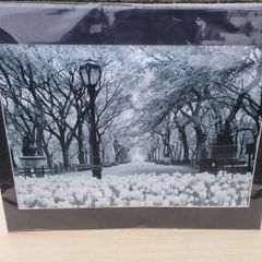 Large art photograph of Central Park in New York